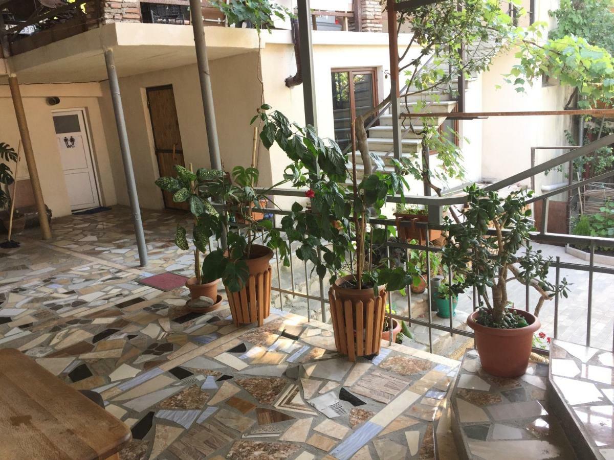 Guest House Loza ซิคนาคี ภายนอก รูปภาพ